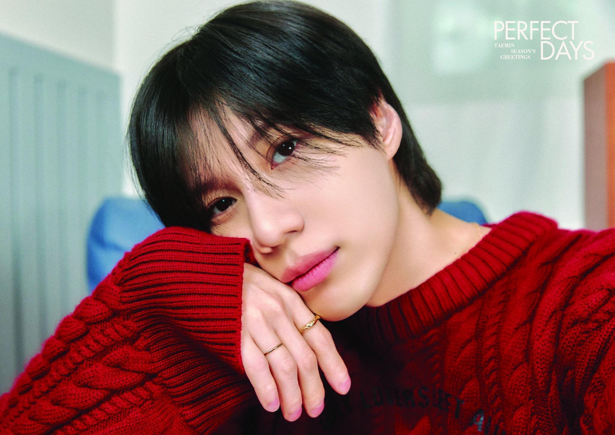 TAEMIN (SHINEE) 2025 SEASON'S GREETINGS - Perfect Days