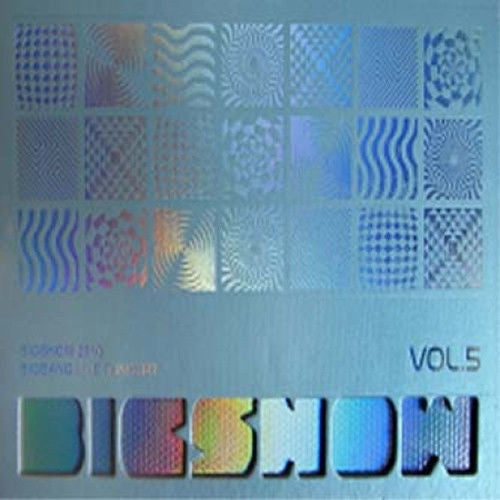 BIGBANG – 2010 BIGBANG Concert Live Album : Big Show (2 CD)
