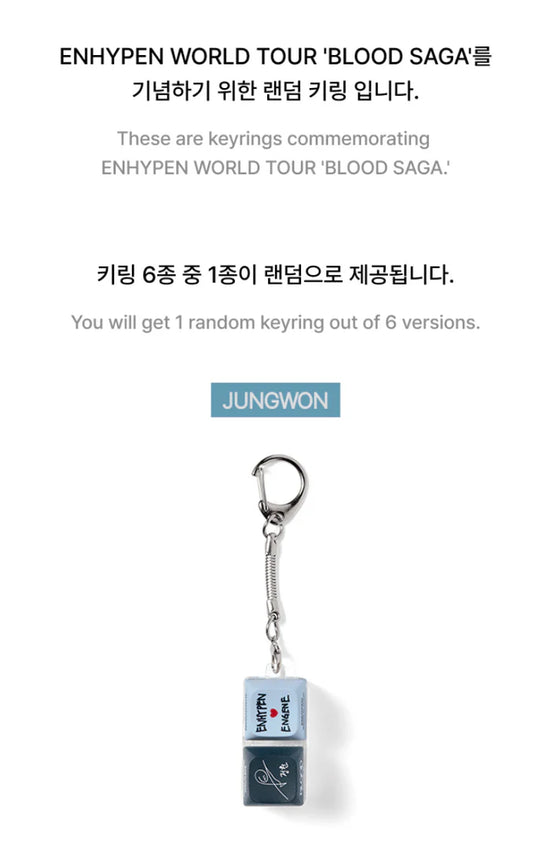 ENHYPEN - RANDOM KEYRING (WORLD TOUR 'BLOOD SAGA' MD)