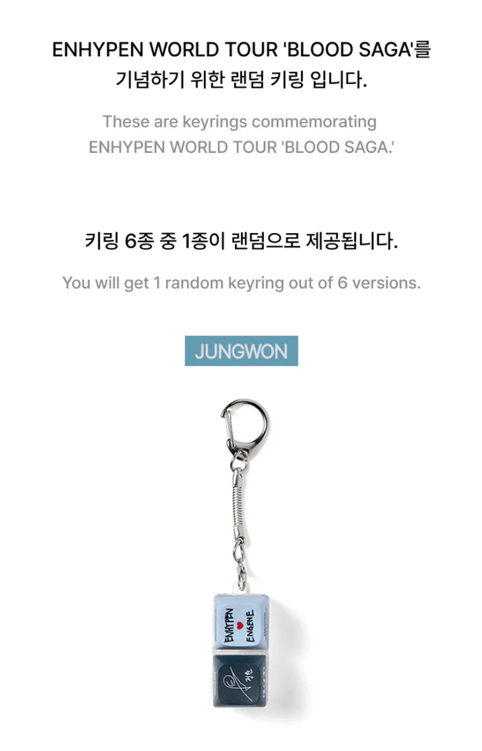 ENHYPEN - RANDOM KEYRING (WORLD TOUR 'BLOOD SAGA' MD)