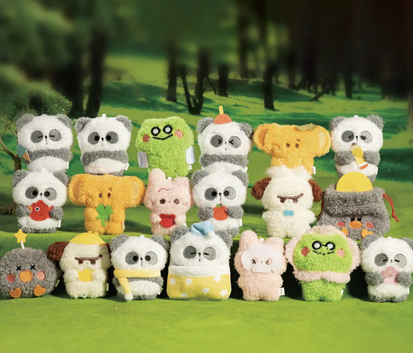 MR. PA FORTUNE FAVORS YOU