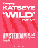 KATSEYE 'WILD' POP-UP - Hair pins