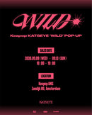 KATSEYE 'WILD' POP-UP - Hair pins