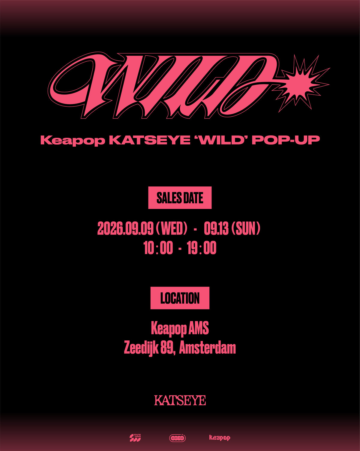KATSEYE 'WILD' POP-UP - Hair pins