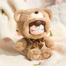 Nanci Colorful Chocolate Cutie Bears Series Plush Blind Box