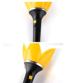 BIGBANG - OFFICIAL LIGHT STICK V.4