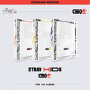 STRAY KIDS 1st Album - GO生