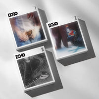 Jin (BTS) - 2nd Mini Album 'Echo'