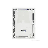 STRAY KIDS 1st Album - GO生