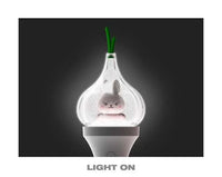 [PRE-ORDER] JAYPARK - OFFICIAL LIGHTSTICK
