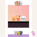 ZB1 – Limited Monitor Figure [we are Zeroni]