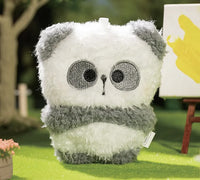 MR. PA FORTUNE FAVORS YOU