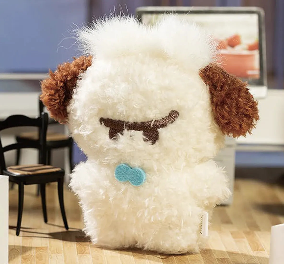 MR. PA FORTUNE FAVORS YOU