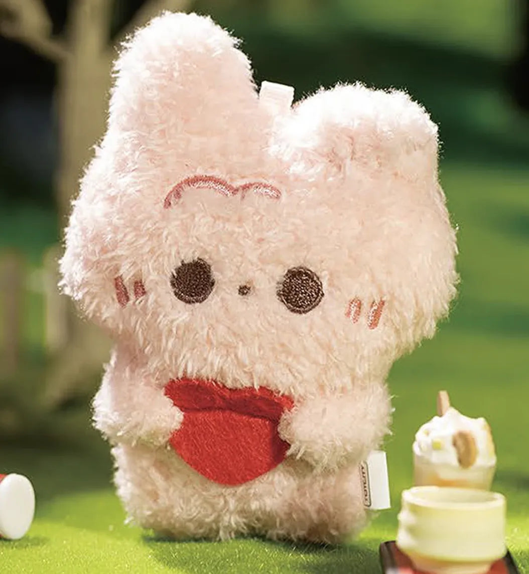 MR. PA FORTUNE FAVORS YOU